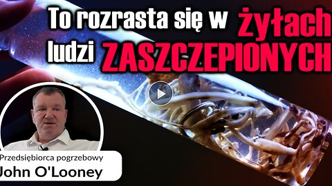 Dowody we krwi - Wizyta u przedsiębiorcy pogrzebowego Johna O'Looneya