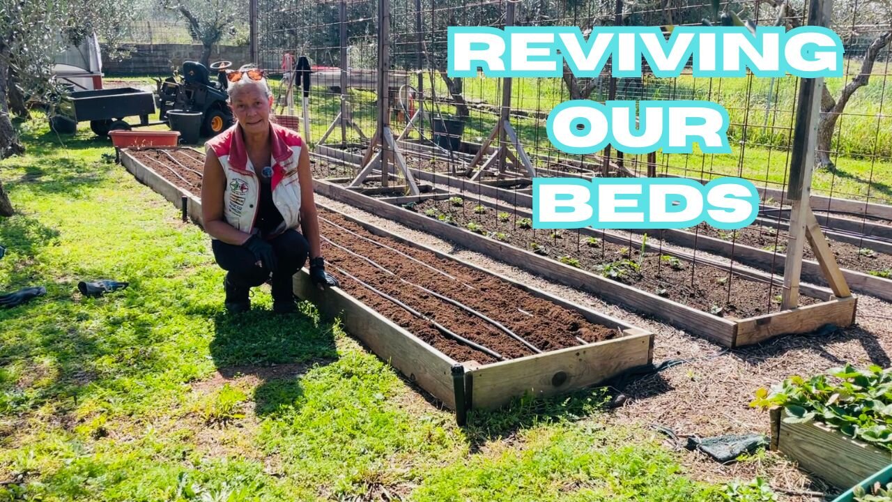 🔥 Reviving Our Raised Beds! 🌱 Triple Organic Boost for a Thriving Garden! 🌿