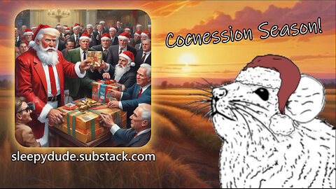 Sleepy Stream #7 | Concession Season