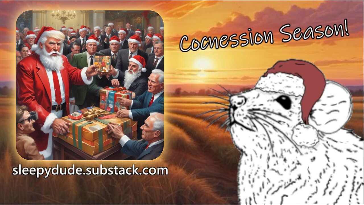 Sleepy Stream #7 | Concession Season