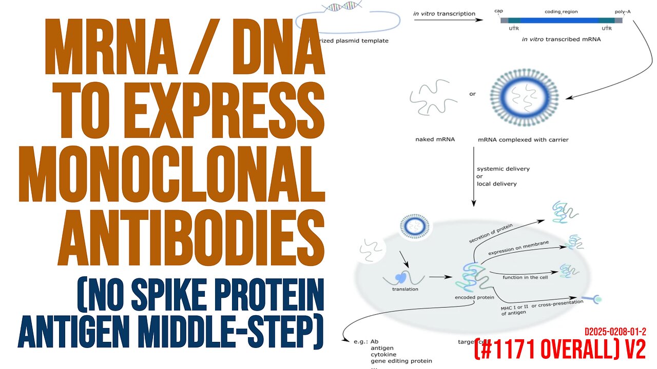 Saturday nights all night all right for making monoclonal antibodies directly w/ DNA mRNA (1171 v2)