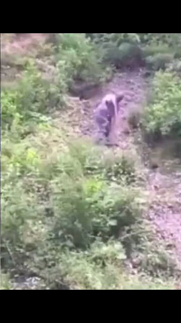 🙂☺️😙☺️😙😍😙😍😙😍🙂😇😜😊😗