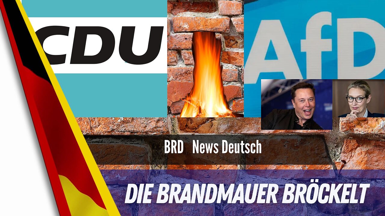 Elon Musk - Alice Weidel. Die Brandmauer bröckelt.