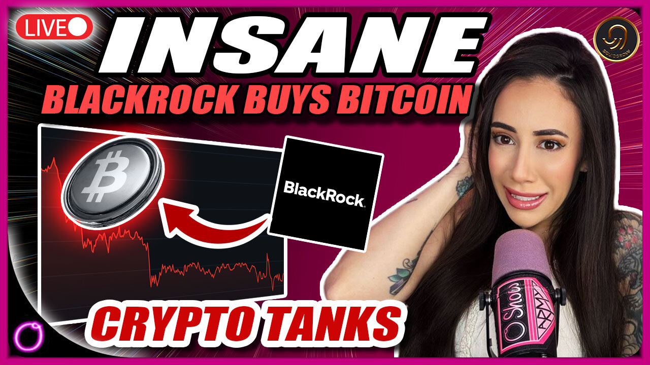 INSANE: Blackrock Buys Bitcoin - Crypto Tanks - Endgame Near?