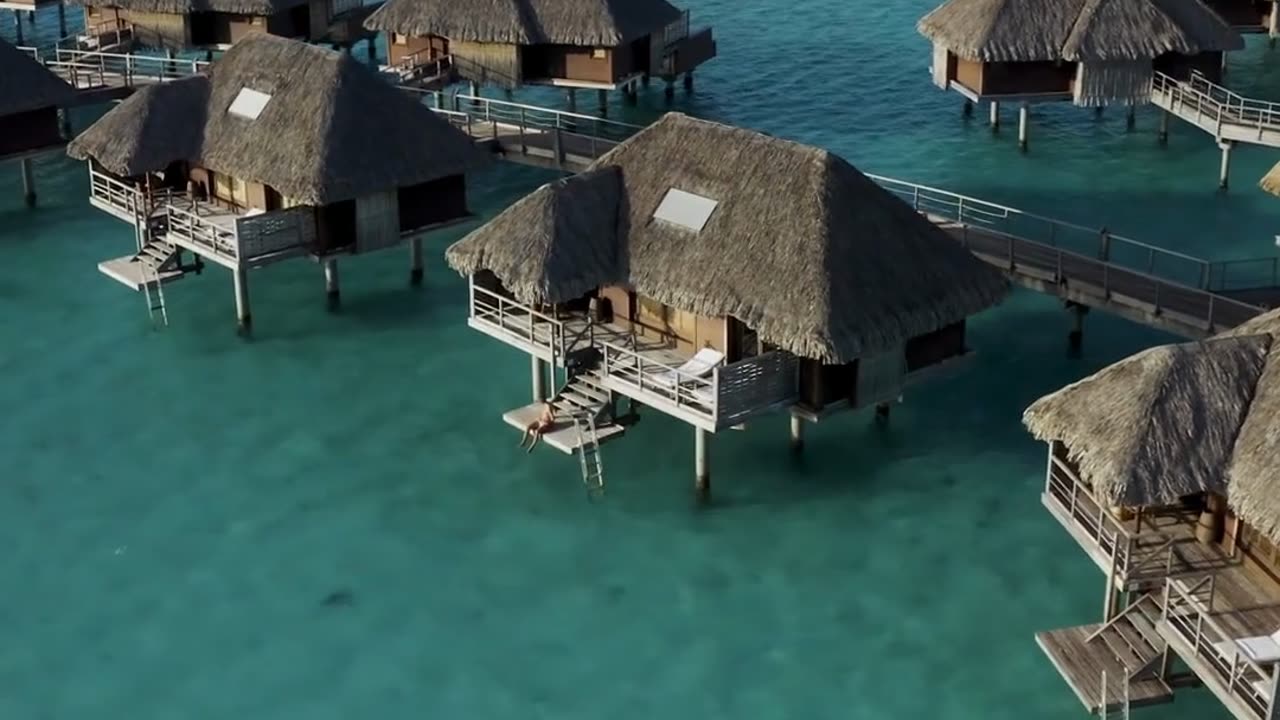 Top 10 travel destinations around the world!🌍🌴✈️
