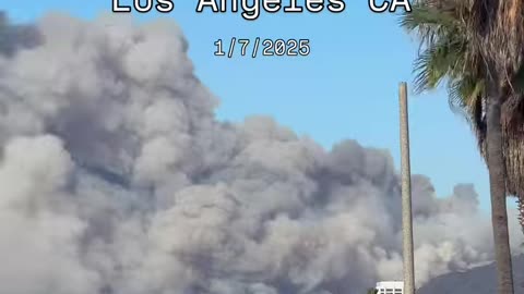 #wildfire #altadenafire #eatonfire #prayforla #palisadesfire #lafires #malibufire