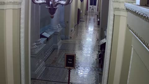 0305USCS03SenateGalleryWestnearS324_2021-01-06_00h20min00s183ms.mp4