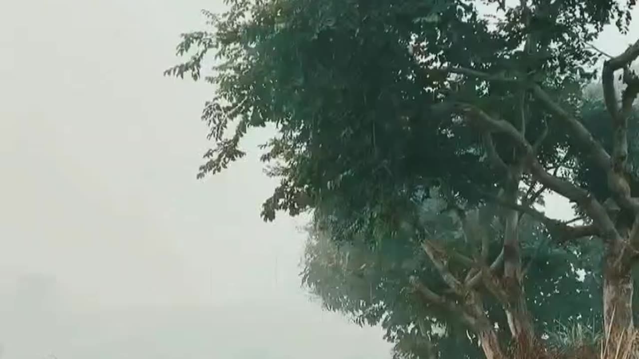 #Asali Sukun To Gaon Mein Hi Hai 👌👌🫡🫡