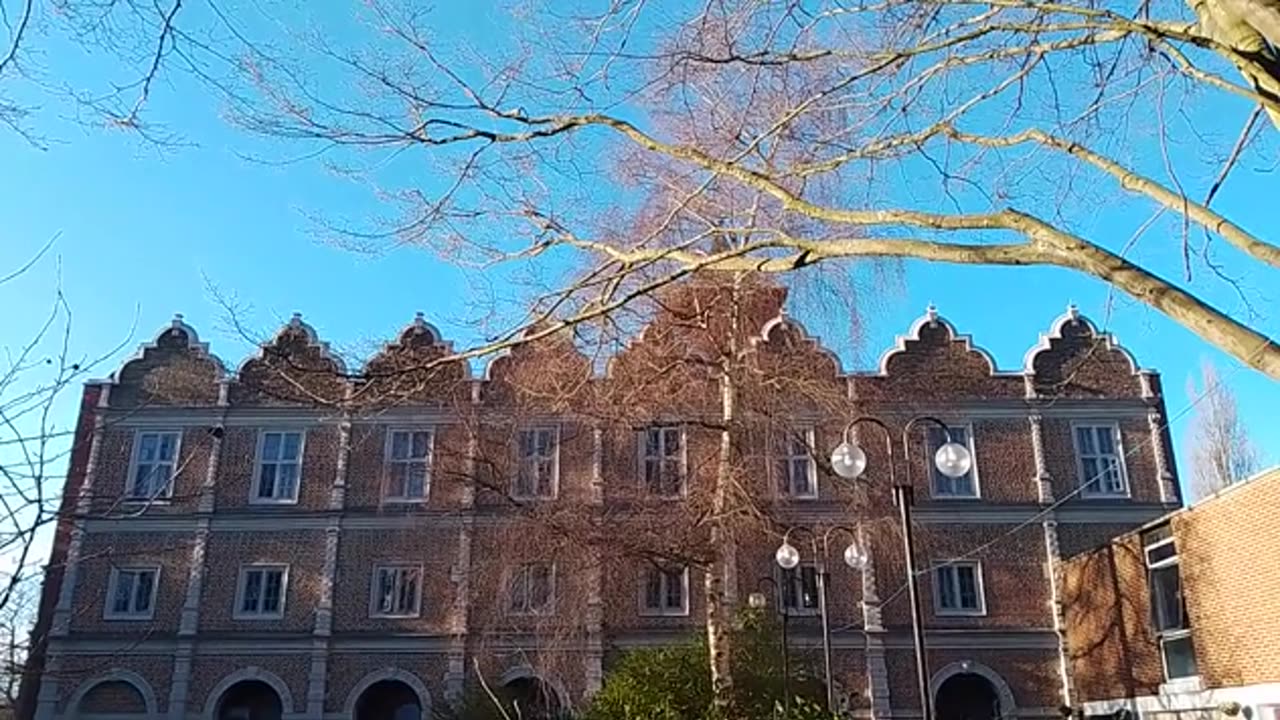 Squirrels playing on a rare sunny day in London