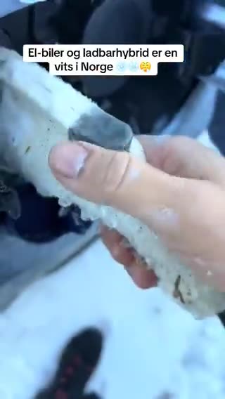 All the pain of electric car owners is in a video from Norway