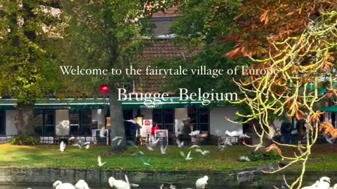 Step in to Fairytale in Brugge, Belgium 🤗💕