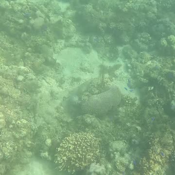 Snorkeling Morning!!