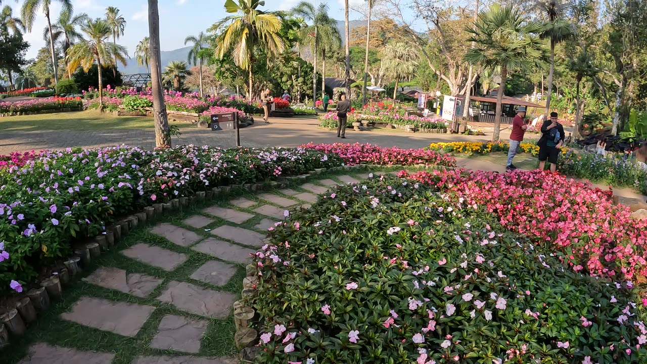 Mae Fah Luang Garden Chiang Rai Thailand Vlog