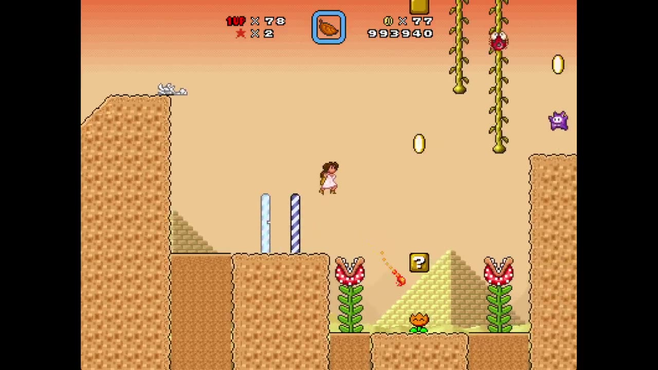 Sand in Your Plants - Crazy Hard Mario Pt.11