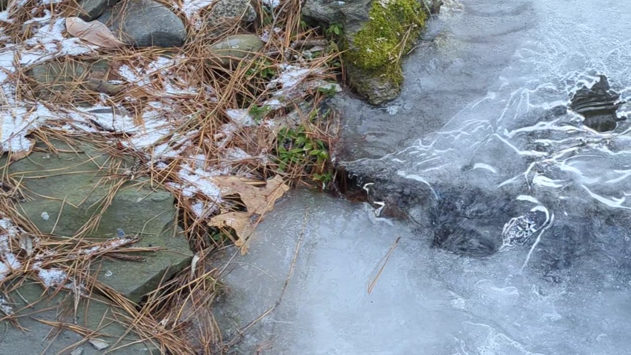 My frozen pond