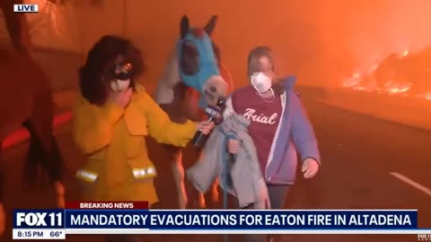 Pasadena Residents Evacuate With A Group Of Horses As Second LA Wildfire Erupts
