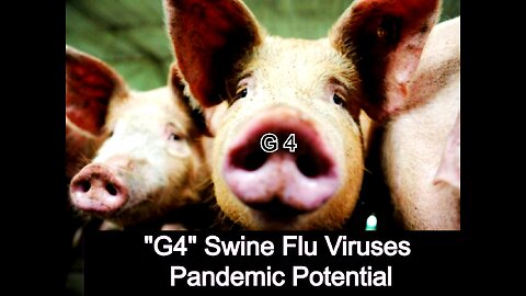 "G4" Swine Flu Viruses