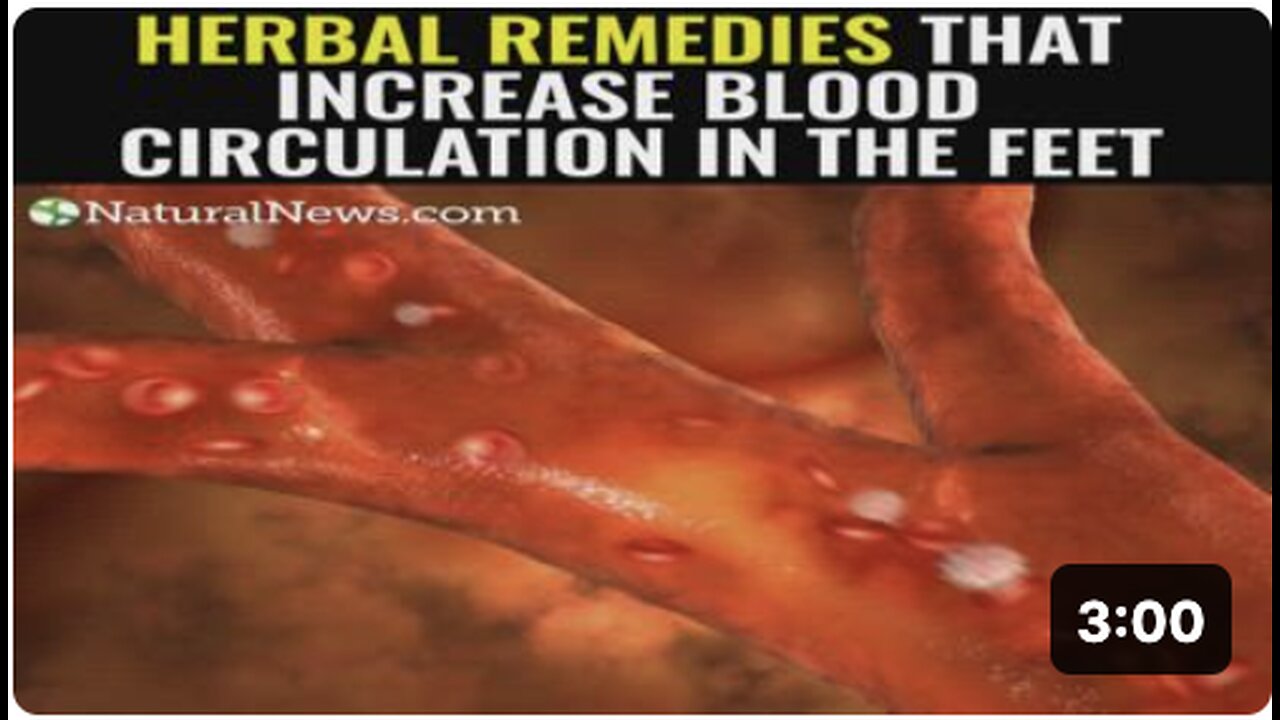 Herbal remedies that increase blood circulation in the feet