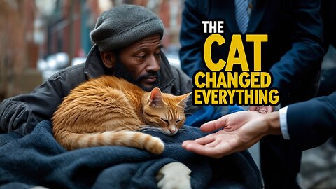 A Stray Cat Saved a Homeless Man – What Happened Next Was a Miracle