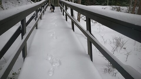 Benson and I walk into town from Canoe Cove