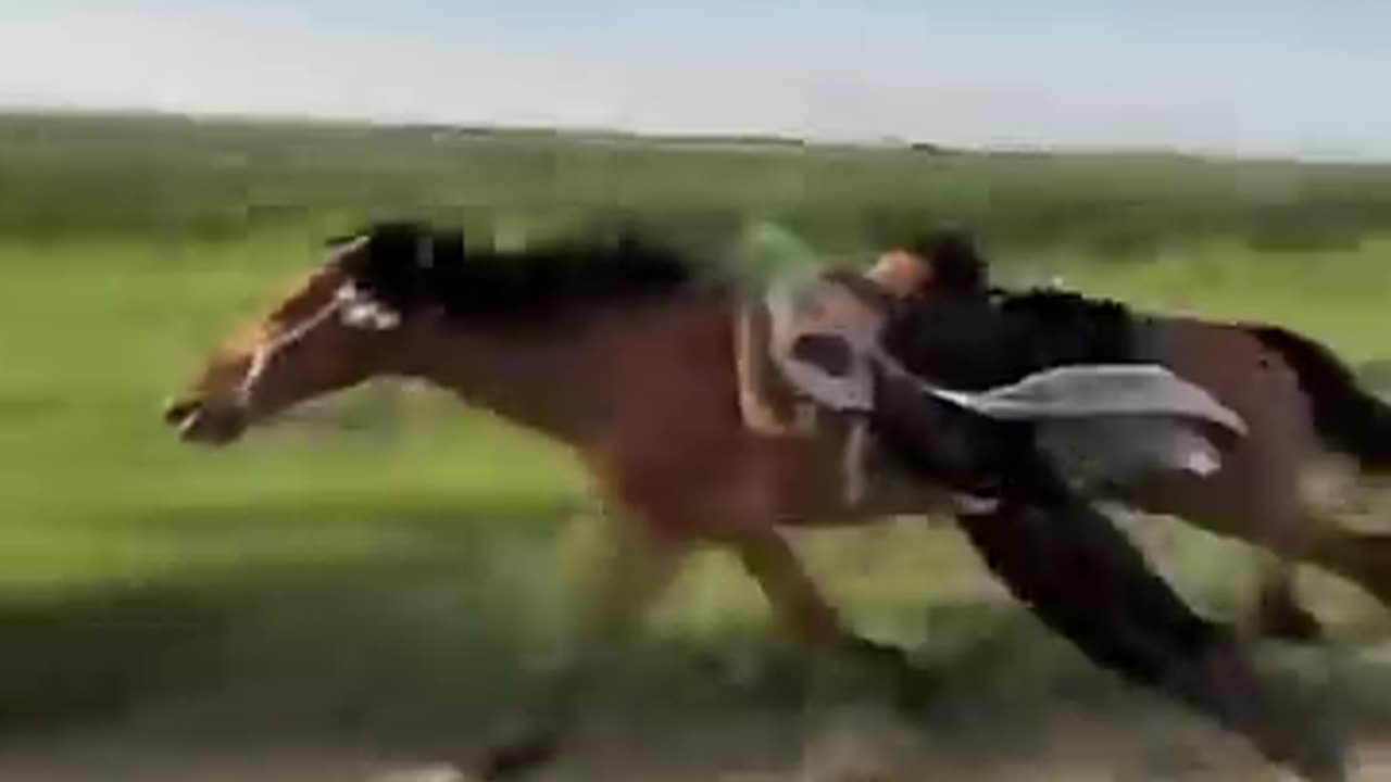 horse #horse #ru7mbletaoekover #rumblerant