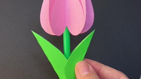 How to Create Paper flowers