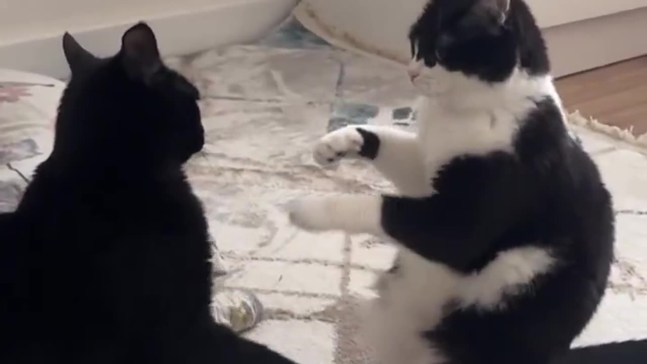 Fighting in slow motion