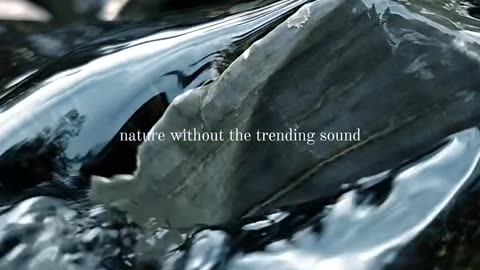 Nature sounds without the trending sound