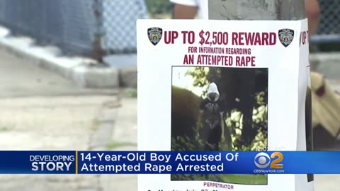 Police Arrest Alleged Black Rape Suspect In Bronx Park