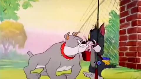 “Cartoon Meets Reality: Wow, So Cool!”