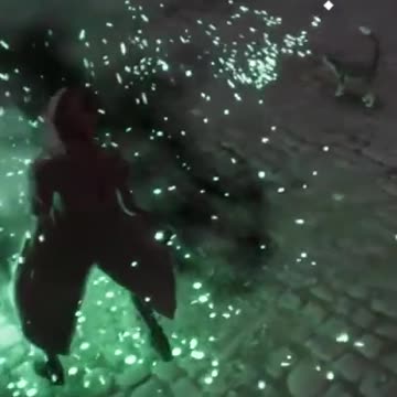 My Niffler Killed Me