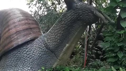 Before & After Animals Growing Up. 🤤| Animal Transformation Amazing