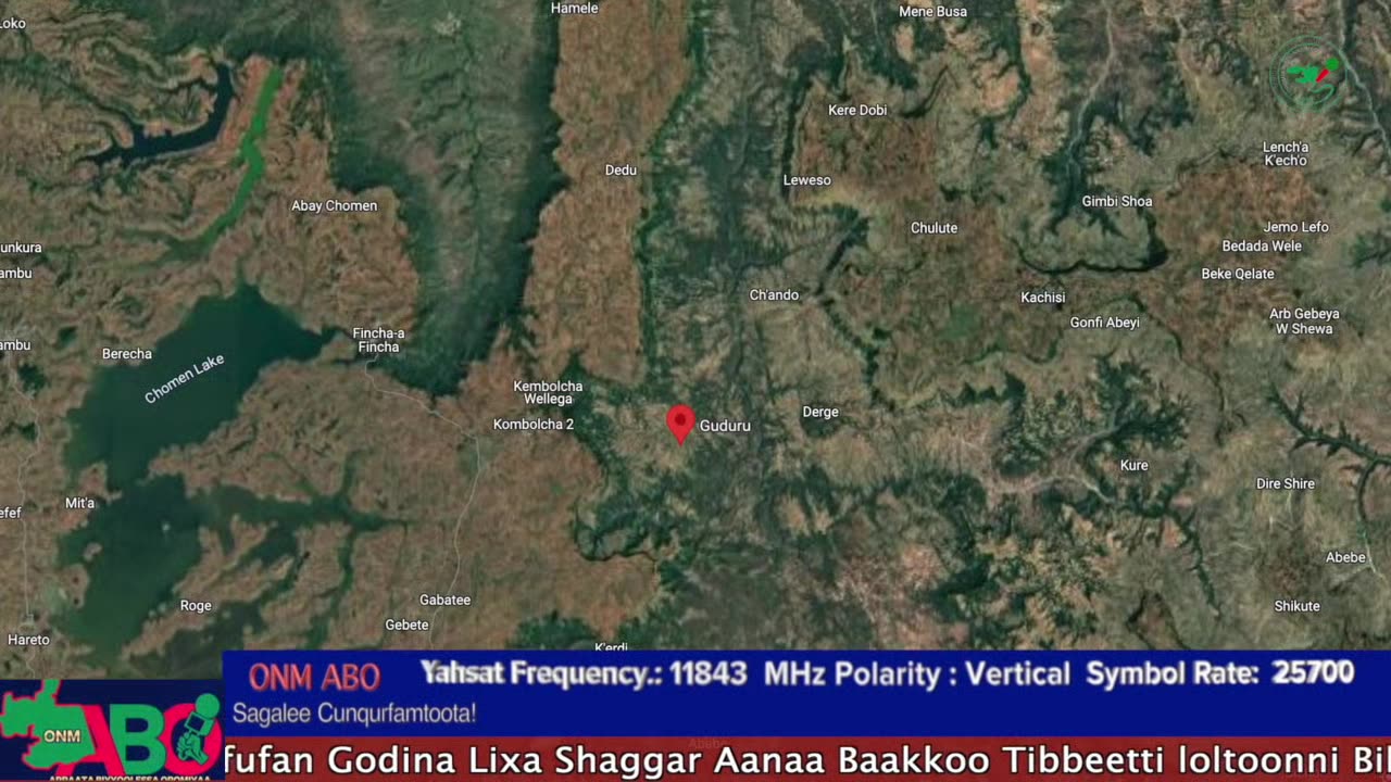 Oduu Waaree ONM-ABO Muddee 29-2024 itti dhiyaadhaa!