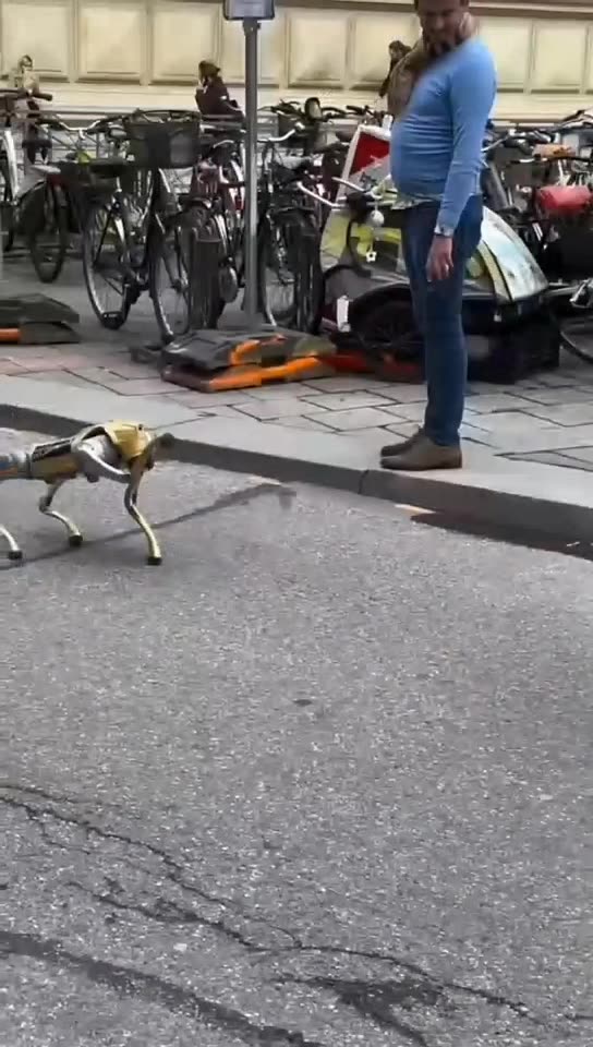 Funny Robot Dog