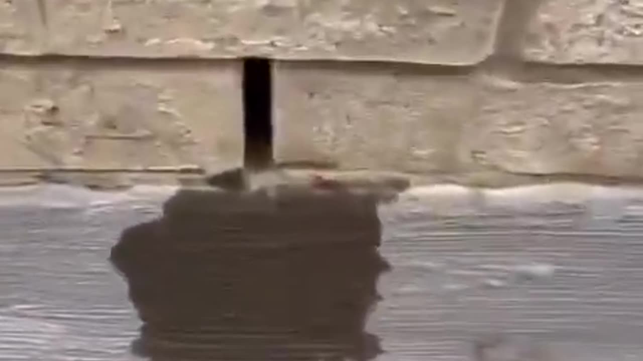 $800,000 new build ~ Import the 3rd world and you become it