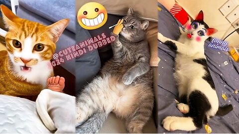 cute animals funny video trending shorts 🥰 #funnycomedyshort #cuteanimalsfunnyvideosshorts #funny