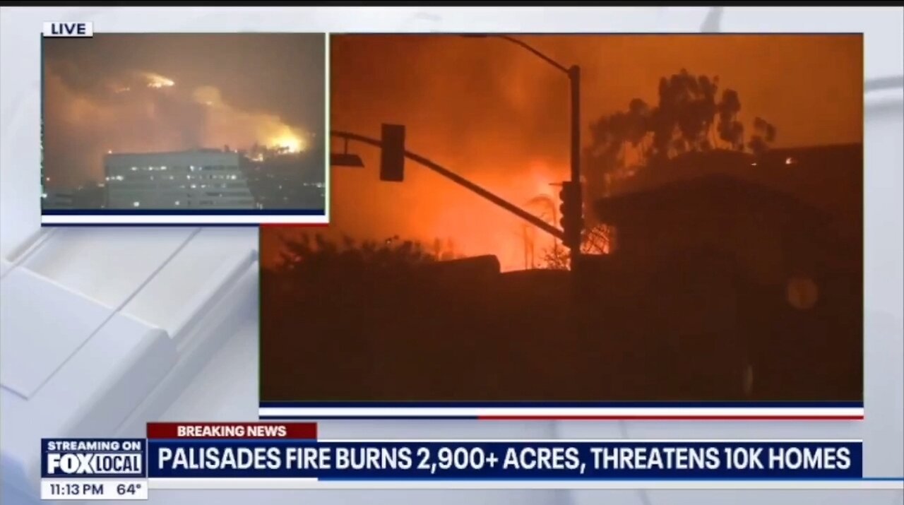 Palisades Fires Are From Mismanagement From The City: Fmr LA Mayoral Candidate