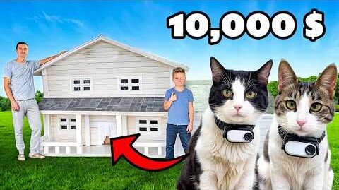 10,000 $