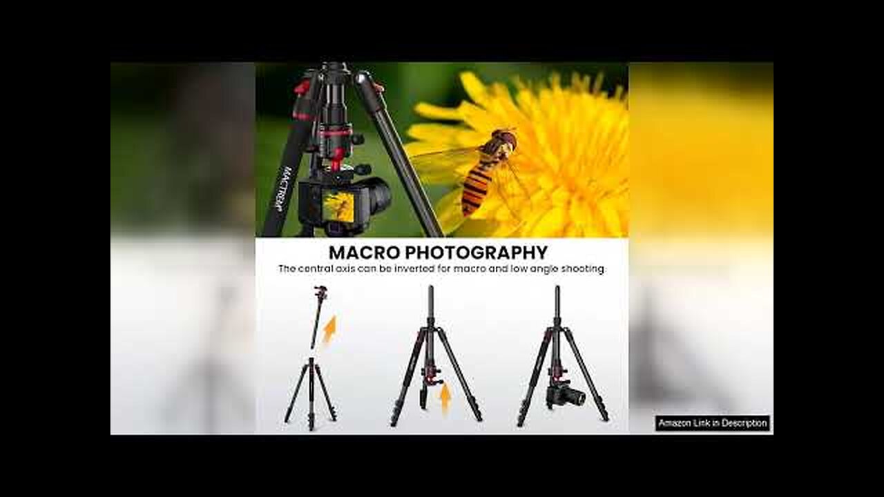 MACTREM Camera Tripod 74 inch/187cm Aluminum Travel Tripod & Monopod with 360°Ball Review