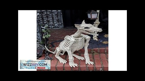 Doberman Dog Skeleton Haunted Prop Review