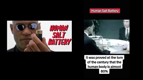 "We Are Energy - a HUMAN SALT BATTERY, No Different Than a Car Battery"