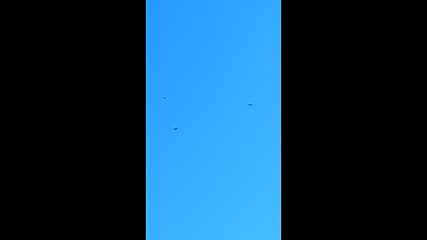 3 Hawks circling overhead