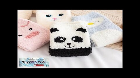 Lovely Cartoon Cat pig panda Sleeping Socks Animals in Autumn Winter Plush Review