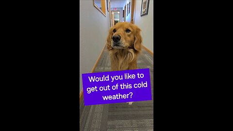 Would you like to get out of this cold weather?