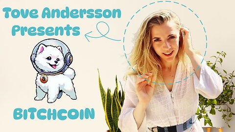 Bitchcoin - World Wide Phenomena - Entrepreneurs, Engineers, and Industry Leaders ready for Launch 🚀