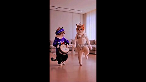 Funky Feline Dance Moves You Won't Believe!