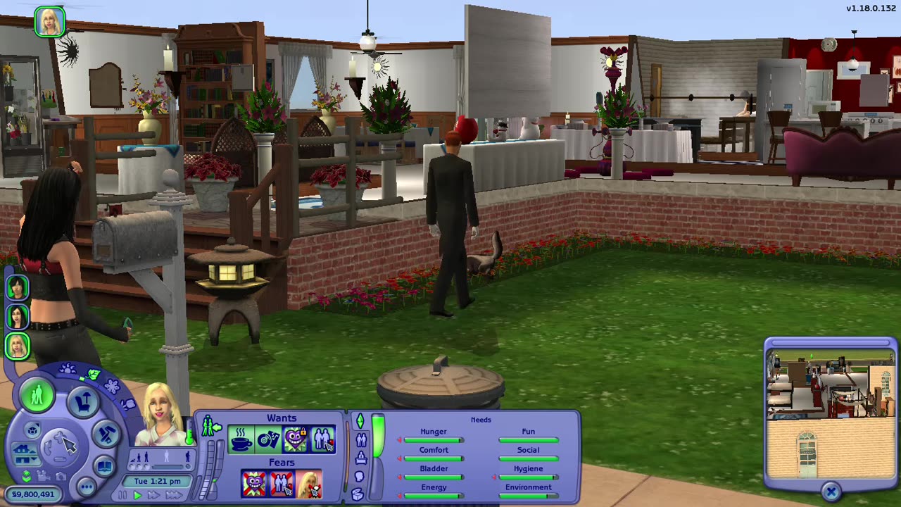 Sims 2 skunk glitch