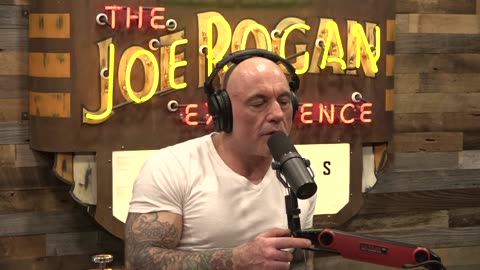 Joe Rogan Experience #2275 - Magnus Carlsen