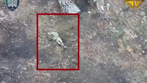 Single Ukrainian Drone Unit Shredding Russian Infantry