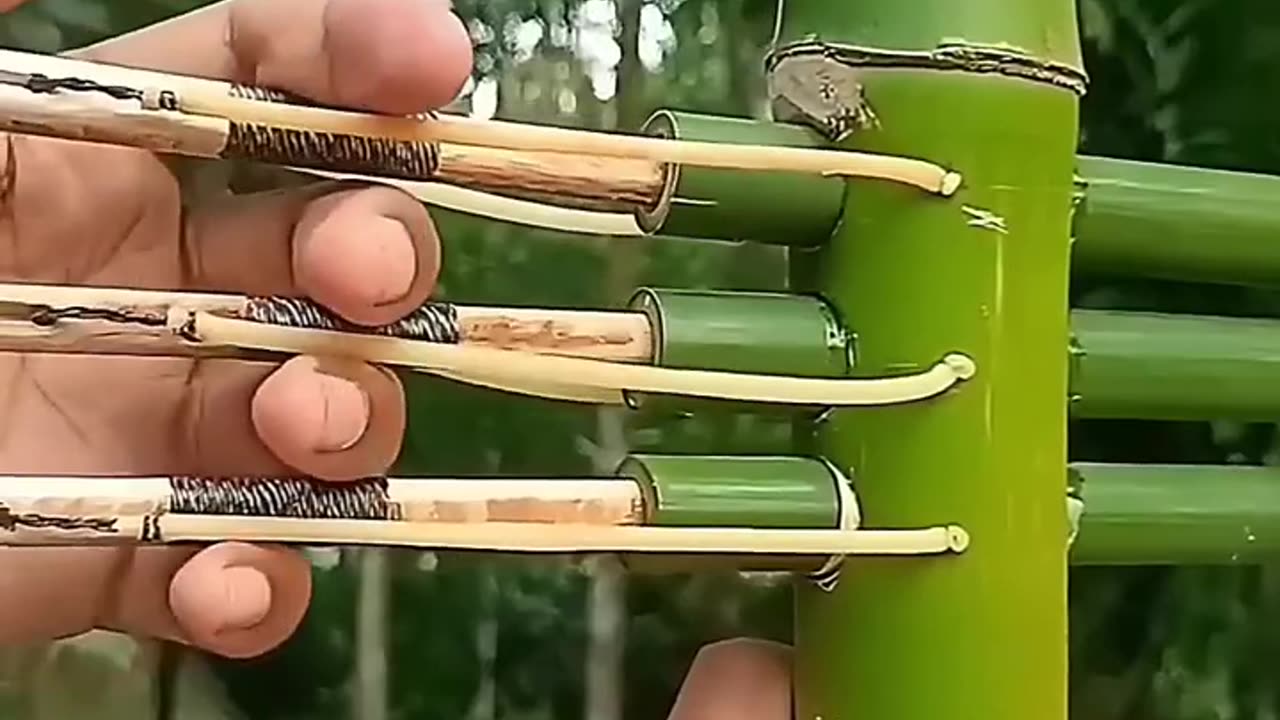 The power of bamboo